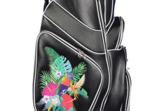 Golfbag: Golf in Heaven