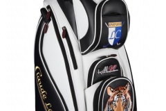 Golfbag Typ Cartbag, handgefertigt, kunstvoll bestickt: "Tiger" 1