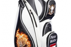 Golfbag Typ Cartbag "Flammenkopf" von Kerstin Kellermann aus 2012