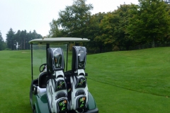 Golfbag Typ Cartbag "IRLAND", individuell bestickt von Kerstin Kellermann aus 2013