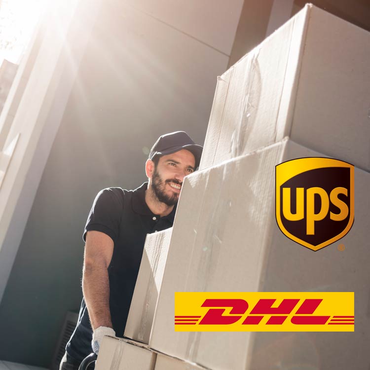 DHL Spese Di Spedizione UPS - Voce Per Inserzione
